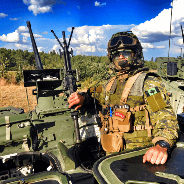 Die Boomslang Fade Grubenotter Sonnenbrille Grubenotter