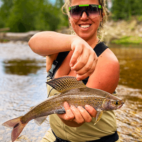Die Boomslang Fade Grubenotter Sonnenbrille Grubenotter