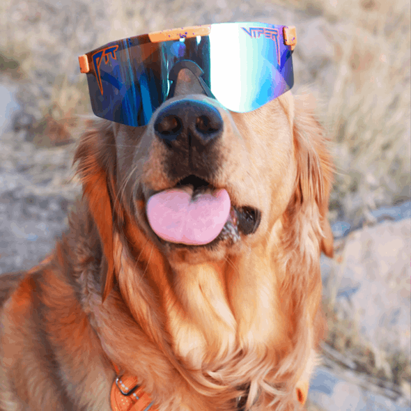 Die Crush Polarisierte Doppelt Breite Grubenotter