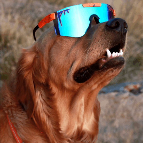 Die Crush Polarisierte Doppelt Breite Grubenottermode