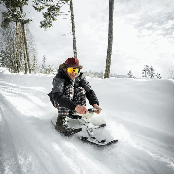 Grubenotter Das Geheimnis Polarisiert Doppelt Breit