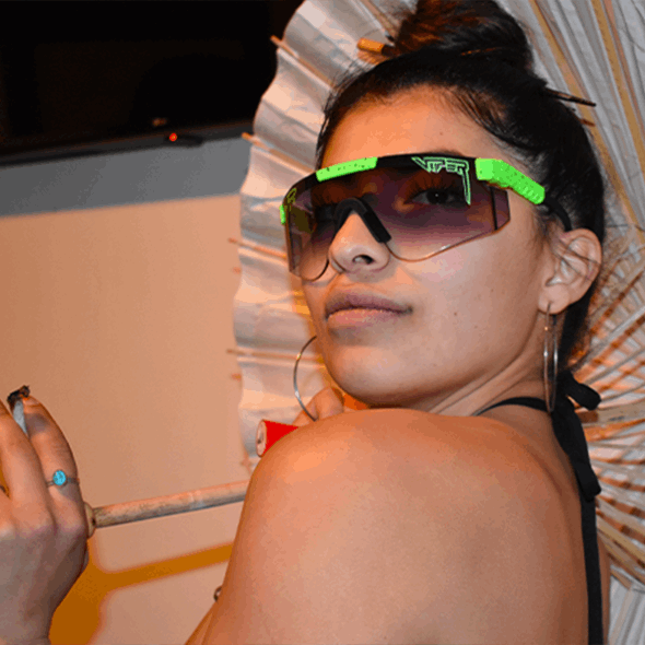 Grubenotter Die Boomslang Fade Grubenotter Sonnenbrille