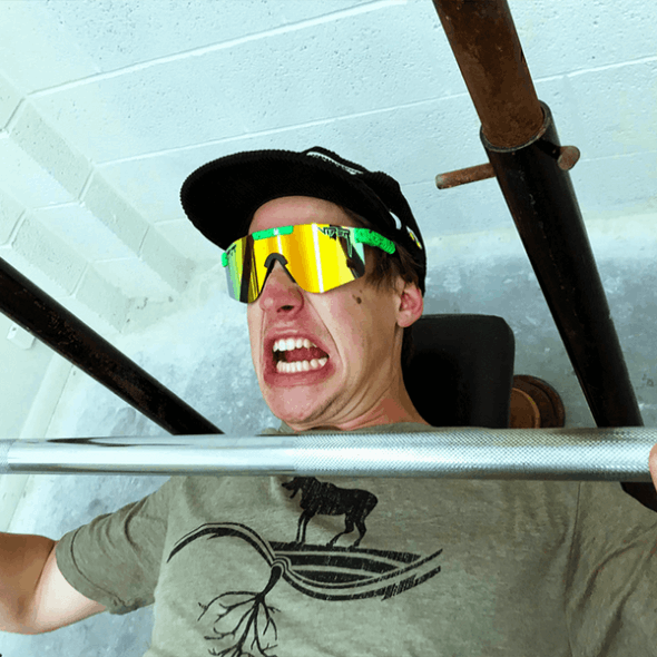 Grubenotter Die Boomslang Polarisierte Doppelt Breite Mode