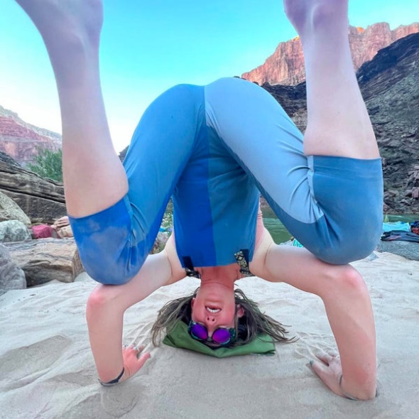 Grubenotter Die Galapagos-sonnenuntergangserreger