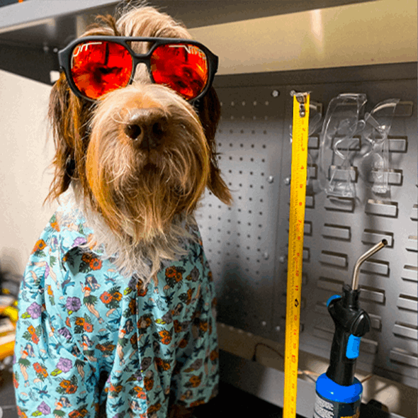 Grubenotter Die Gummis Polarisierte Erreger Mode