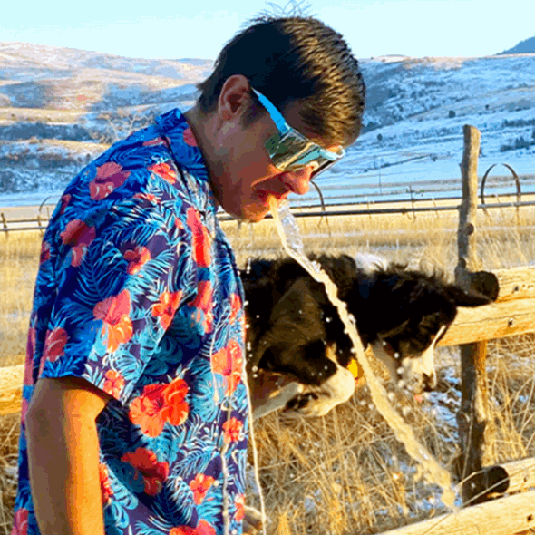 Grubenotter Die Kanonenkugel Polarisiert Doppelt Breit