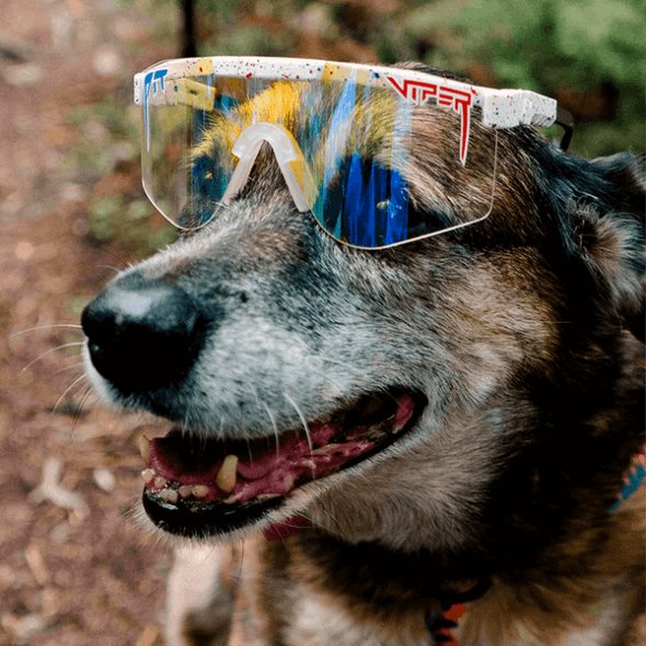 Merika Nachtschatten Doppelt Breit Grubenotter Sonnenbrille Grubenotter