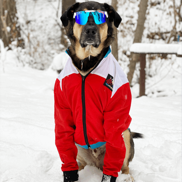 Pit Viper Die Absolute Freiheit Polarisierte Pit Viper Sonnenbrille